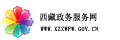 西藏政务服务网
